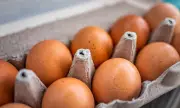 Philippines Restaurant Industry Embraces Cage-Free Eggs as New Standard