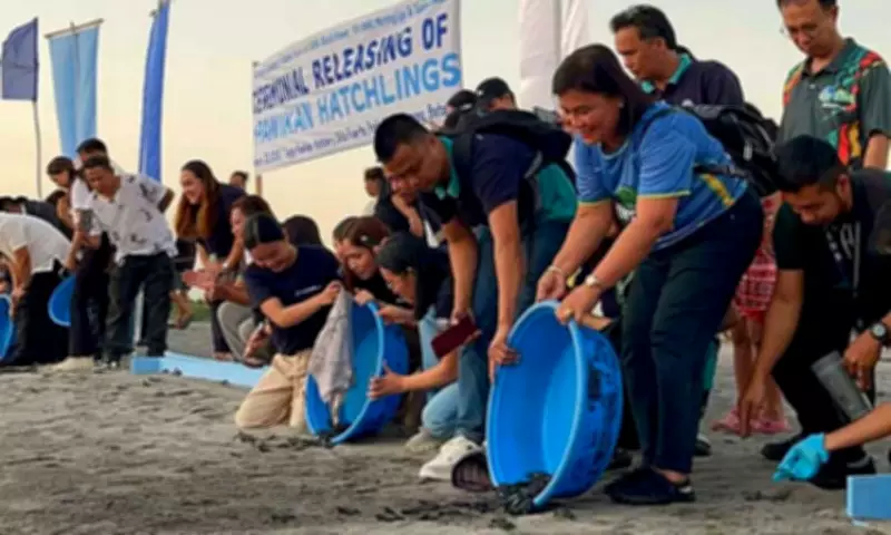 336 Olive Ridley Sea Turtle Hatchlings Released in Bataan Conservation Event