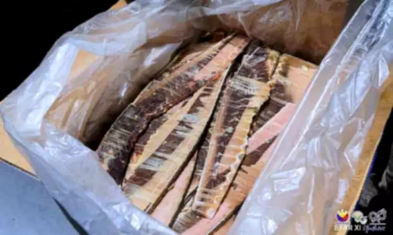 BFAR-Davao Distributes P2.1M Confiscated Tuna to 189 Groups for Food Security