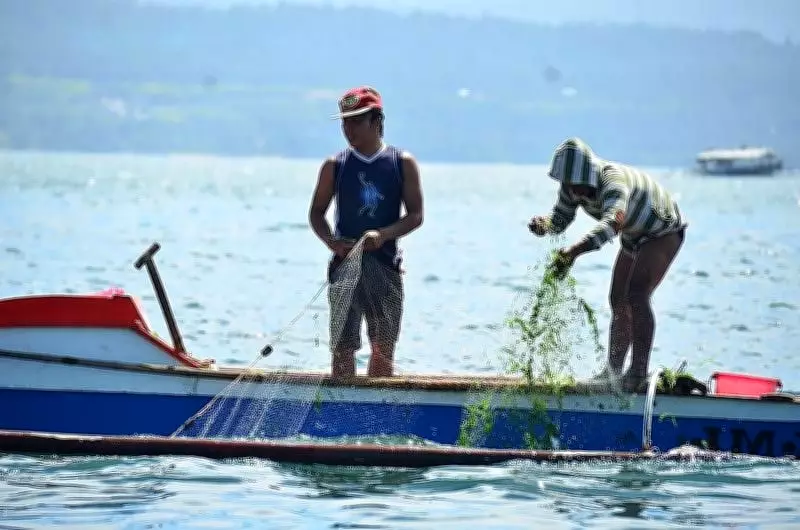 Davao Gulf Fishing Ban Yields Gains Amid Regional Fisheries Decline in 2025