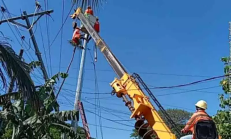 Davao Light Begins Vegetation Clearing in Samal, Warns of Temporary Power Interruptions