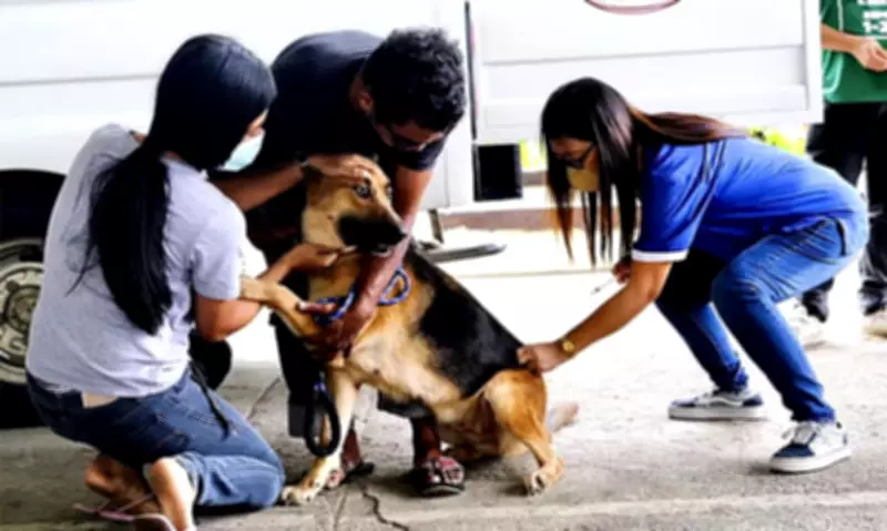 DOH Issues Urgent Warning on Rabies Threat During Awareness Month 2026