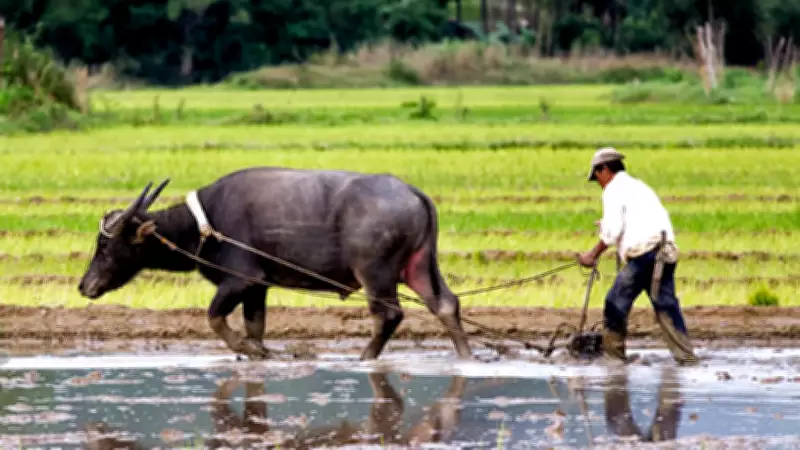 Farmers Demand Aid Amid Oil Price Surge Linked to Middle East Tensions