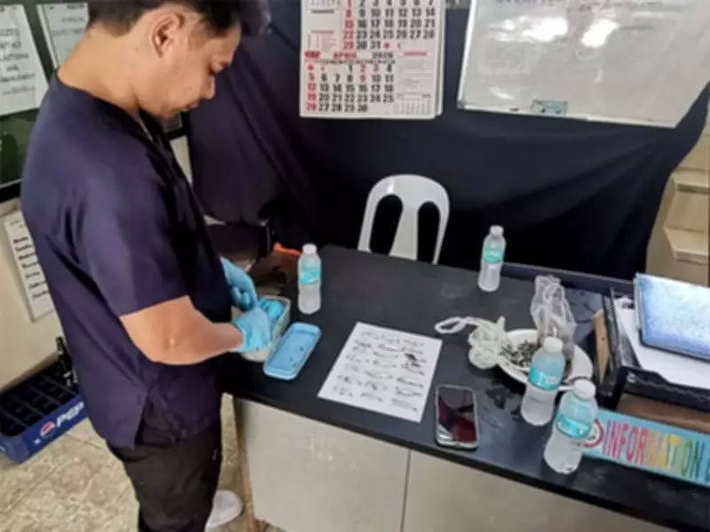 Lapu-Lapu City Fish Kill Investigation Rules Out Poisoning, Points to Natural Upwelling