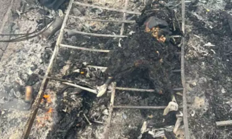 Loyal Dog Dies with Paralyzed Owner in Tragic Talisay House Fire