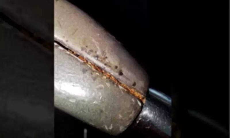 MRT-3 Orders Intensified Pest Control After Viral Cockroach Photo Sparks Outrage