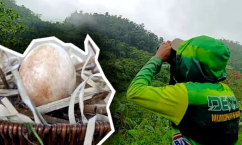 New Philippine Eagle Nest Found in Gigaquit Sparks Conservation Drive