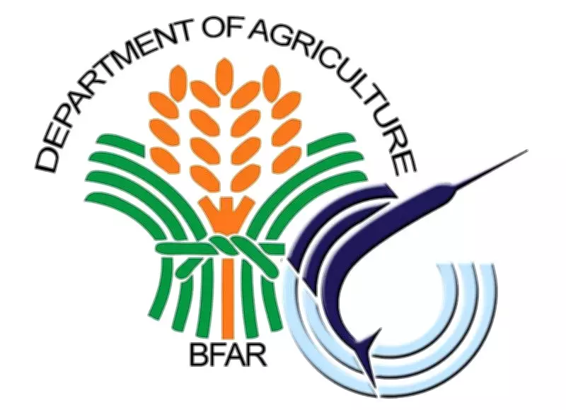 Philippine Air Force Joins BFAR in Aerial Crackdown on Illegal Fishing in Central Visayas