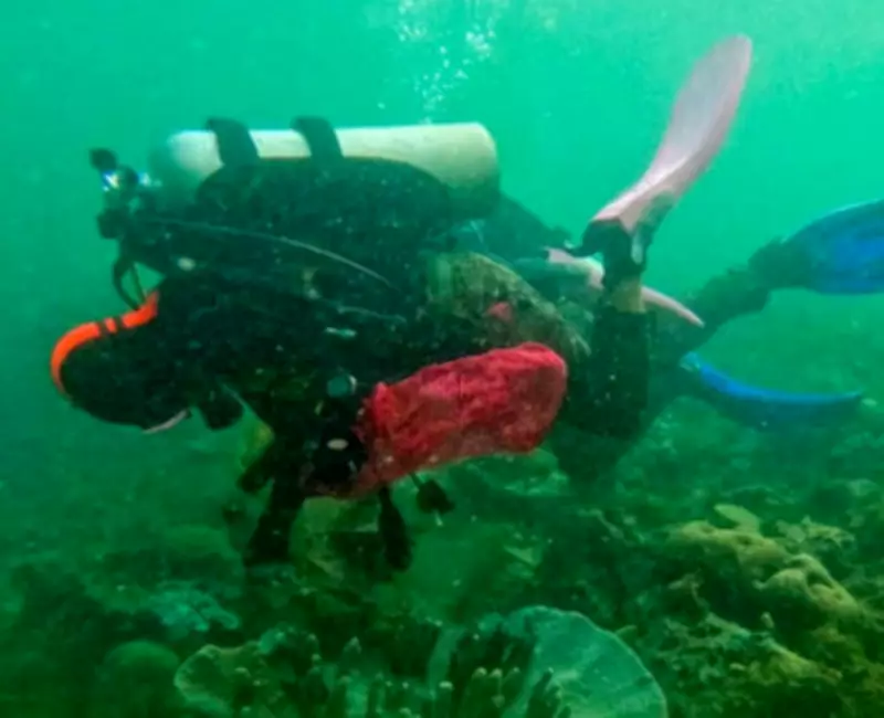 Philippine Military Leads Major Coastal and Underwater Cleanup in Basilan's Eco-Tourism Hub