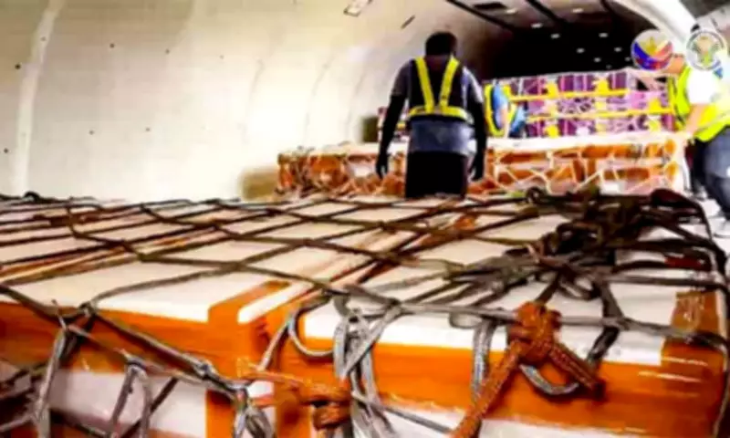 Philippines Achieves Aquaculture Milestone with First Eel Export to China