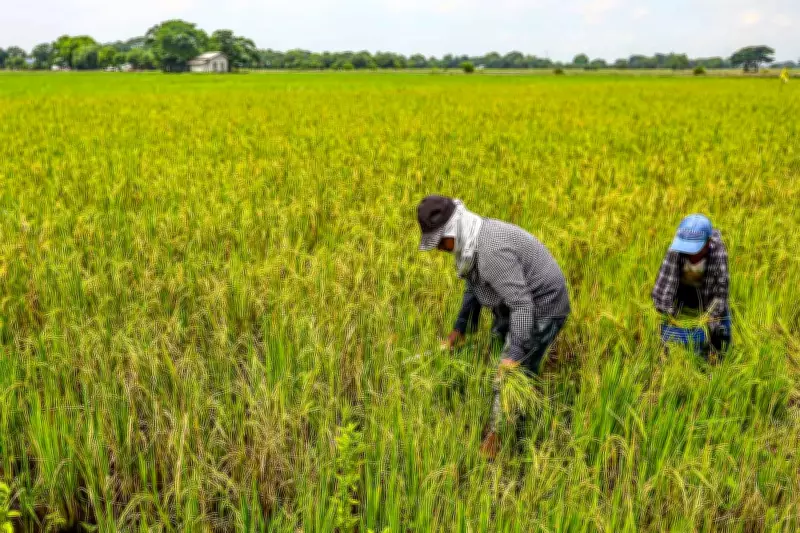 Philippines' DA Monitors Middle East Tensions' Potential Agricultural Impact