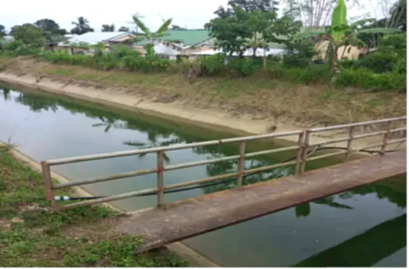 Two Grade 3 Students Drown in Bohol Canal After Missing School Announcement