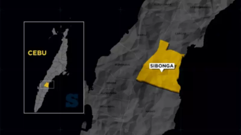 Two Killed, Five Injured in Sibonga Highway Collision Between Van and Tricycle