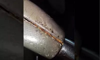 MRT-3 Orders Intensified Pest Control After Viral Cockroach Photo Sparks Outrage