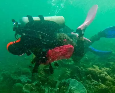 Philippine Military Leads Major Coastal and Underwater Cleanup in Basilan's Eco-Tourism Hub