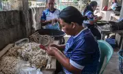 Olango Island Shell Artisans Face Rising Costs While Preserving Generational Craft