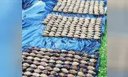 Philippine Army Seizes 295 Grenades from Terrorist Cache in Lanao del Sur