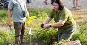 Toledo City Employees Plant 1,000 Seedlings in Green Valentine 2026 Eco-Initiative