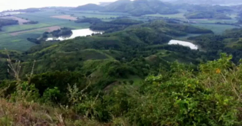 19 NPA Members, Including Leader, Killed in Negros Occidental Clash