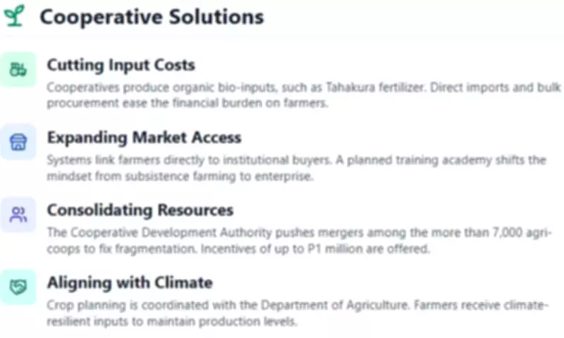 Agricultural Cooperatives Fortify Philippine Food Security Amid Global and Climate Threats
