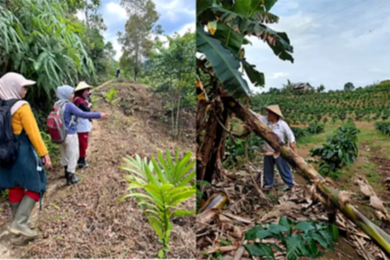 Banana Power: How Southeast Asian Women Are Transforming Forests and Communities