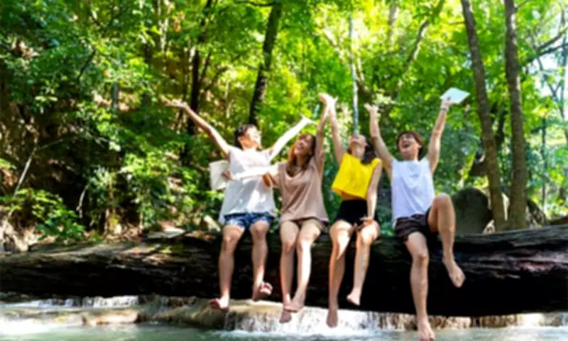 BDO Insure Travel Insurance: Your Essential Companion for Stress-Free Summer Getaways