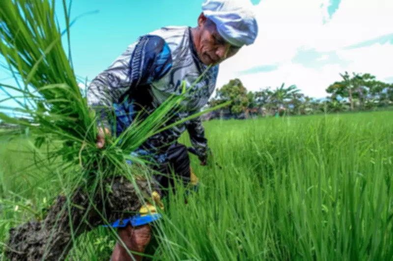 Cebu City Suspends Subsidized Rice Program After Overwhelming Demand