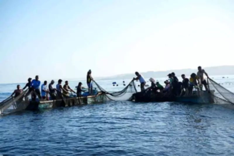 Cebu Fisherfolk Resume Harvest, Highlighting Sustainable Fishing and Food Security