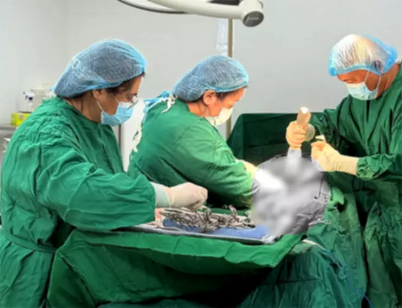 Chronic Illnesses Drive High Hospital Costs in Philippines, PIDS Study Reveals