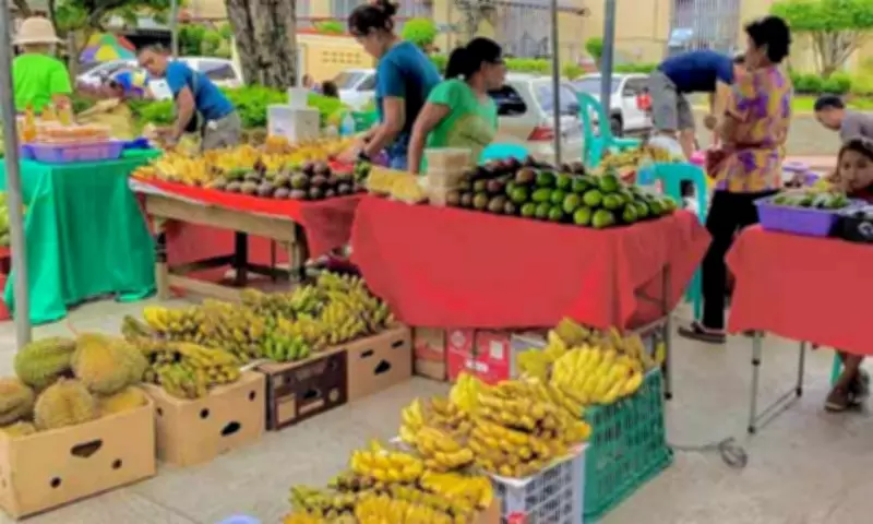 Davao City Councilor Refines Health Food Ordinances to Boost Nutritional Transparency