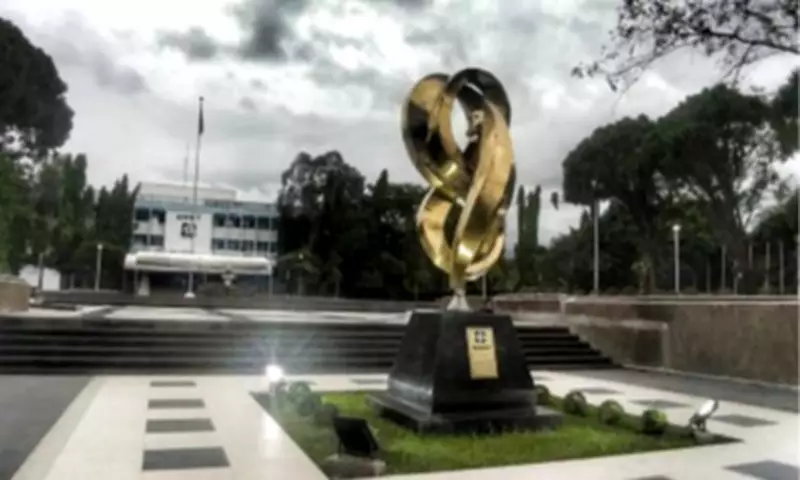 DOST Grants PHP2M for UP Diliman Sea Cucumber Biodiversity Study
