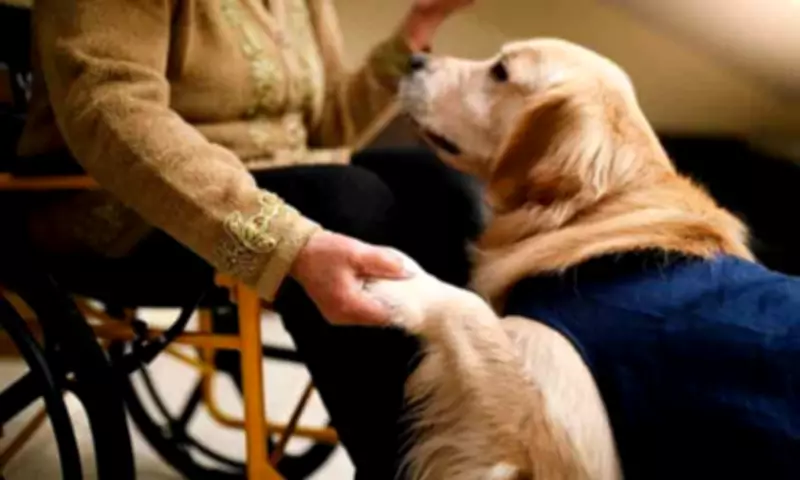 DSWD-Davao Expands Angel Pets Program with 'Doctor Dogs' for Mental Health