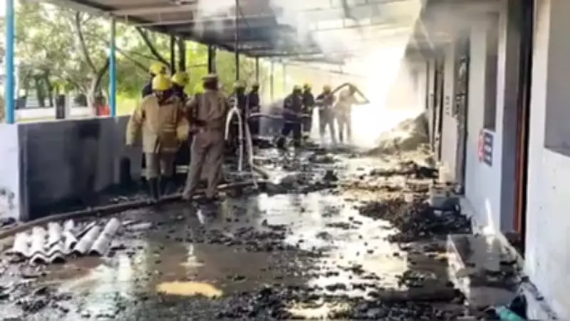 Fireworks Factory Explosion in India Claims 25 Lives, Injures Four
