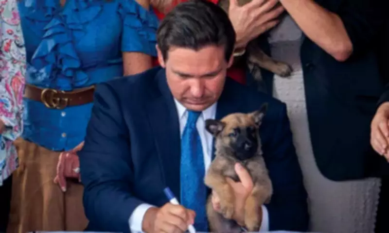 Florida's Dexter's Law Bans Animal Abusers from Owning Pets