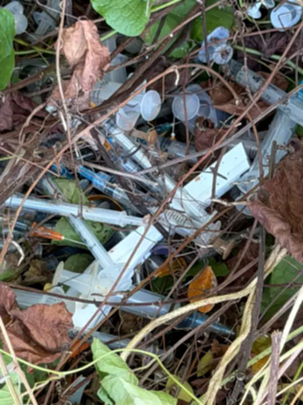Medical Waste Illegally Dumped in Bogo City Raises Health Alarms