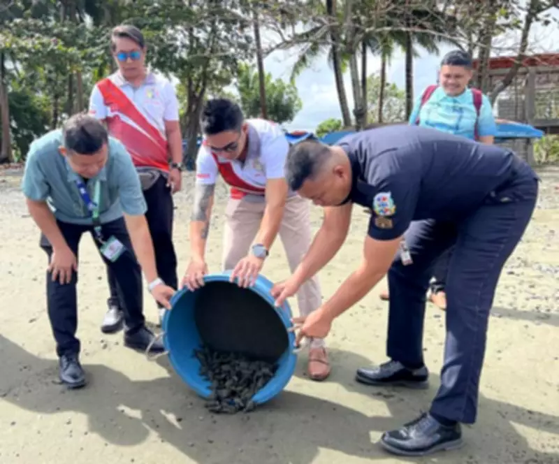 Over 4,300 Olive Ridley Hatchlings Released in Zamboanga del Norte Conservation Milestone