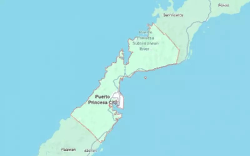 PNP Chief Orders Probe, Relieves Commanders After Fatal Puerto Princesa Police Shootout