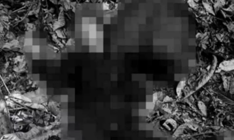 Two NPA Rebels Killed in Surigao del Sur Clash, High-Ranking Officer Among Fatalities