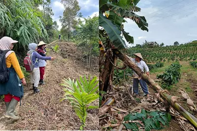 Banana Power: How Southeast Asian Women Are Transforming Forests and Communities