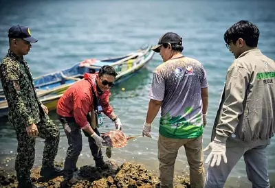 Green Sea Turtle Safely Returned to Zamboanga Sibugay Waters in Conservation Success