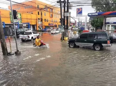 Leptospirosis Cases Surge 225% in Bacolod City, Health Officials Urge Action