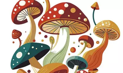 Mushroom Compound May Help Reduce Menstrual Cramps Naturally