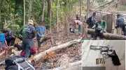Antique Authorities Arrest Two in Major Anti-Illegal Logging Operation