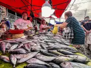 Cebu Vendors Launch Movement Against Carbon Market Redevelopment