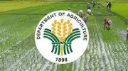 DA May Need Additional P40 Billion Funding Amidst Ongoing Oil Crisis