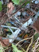 Medical Waste Illegally Dumped in Bogo City Raises Health Alarms