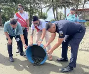 Over 4,300 Olive Ridley Hatchlings Released in Zamboanga del Norte Conservation Milestone