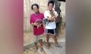 Two Men Arrested in Cockfighting Raid in Cebu City