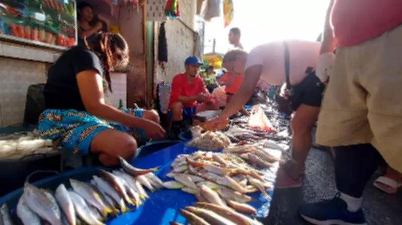 Carbon Vendors Deny Collecting P300 Daily from Traders