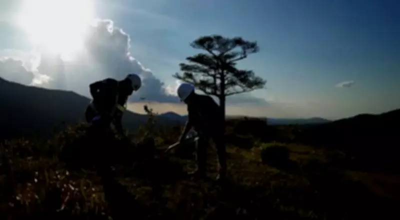 Cebu City Launches Narra Tree Planting Initiative for Climate Resilience